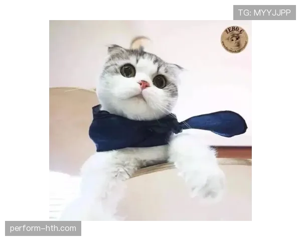 管晨辰家的猫都比我会做早餐